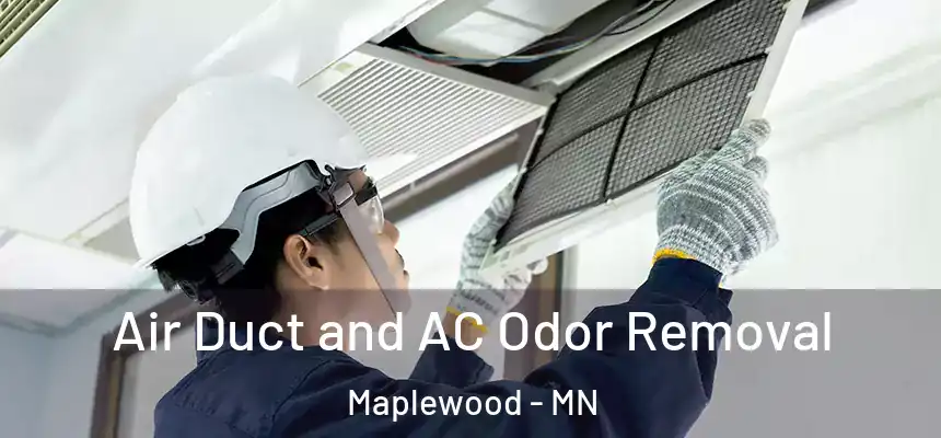  Air Duct and AC Odor Removal Maplewood - MN