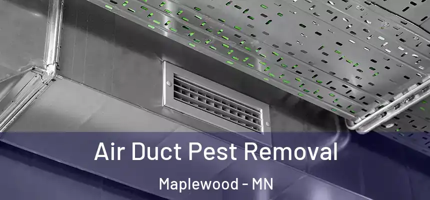  Air Duct Pest Removal Maplewood - MN