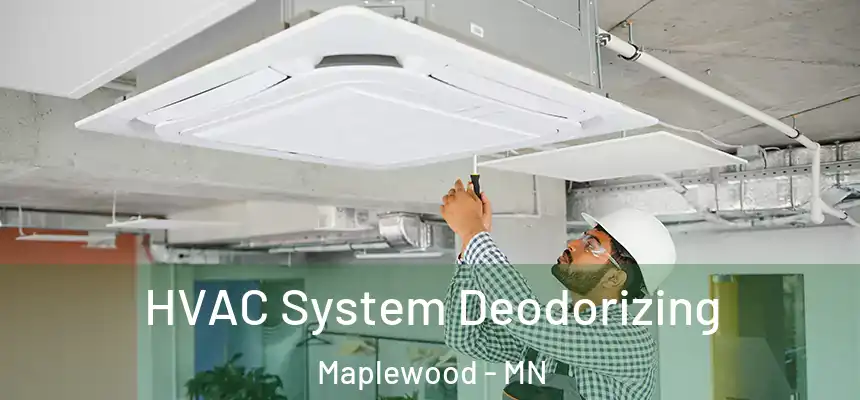  HVAC System Deodorizing Maplewood - MN