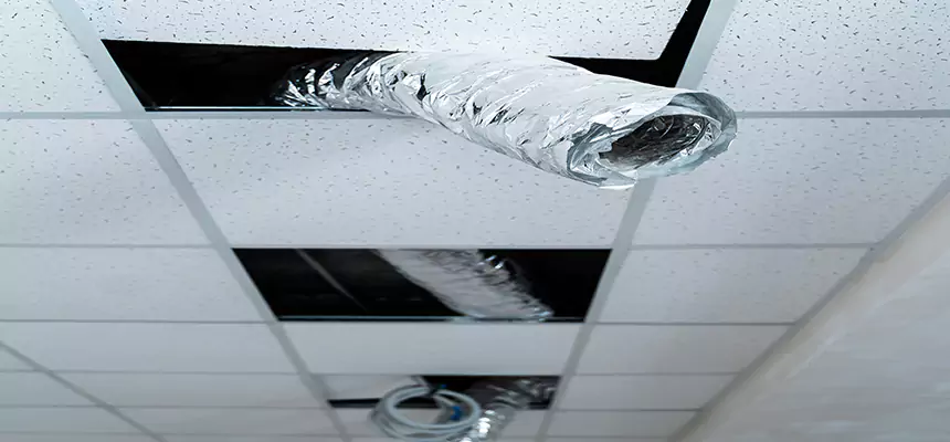 Affordable HVAC Sanitizing After Pest Removal in Maplewood