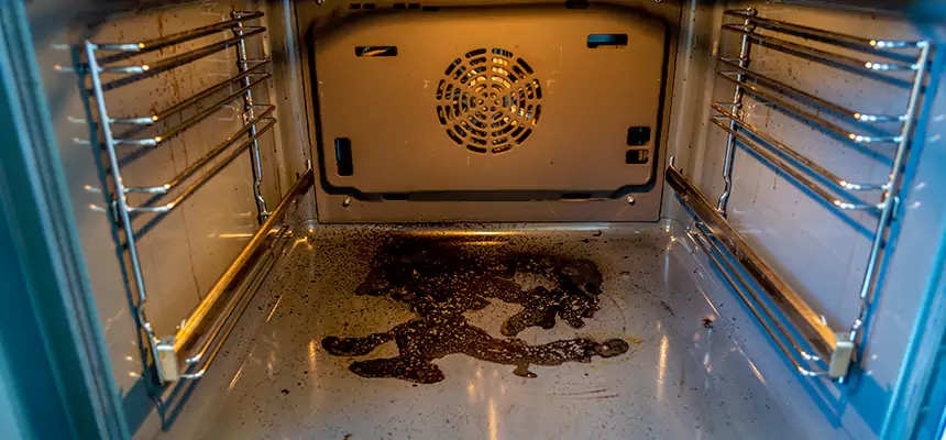 Our Dryer Vent Mold Cleaning Services in Maplewood, MN