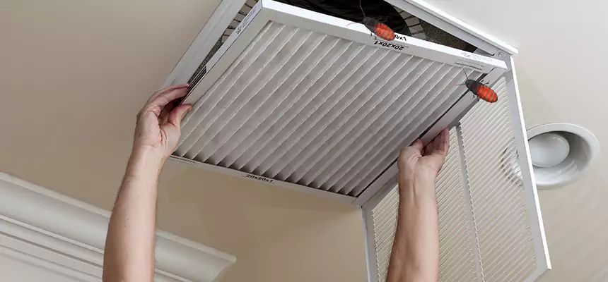 Our Insect Removal from Air Ducts Services in Maplewood, MN