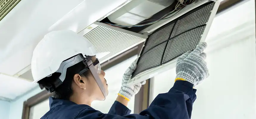 Our Lint Trap Cleaning Service Services in Maplewood, MN