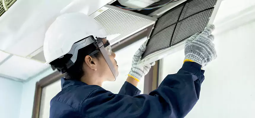 Our Mold & Mildew Removal from Air Ducts Services in Maplewood, MN