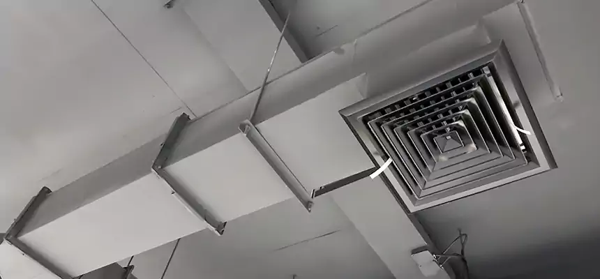 Our Rodent Droppings In Vents Services in Maplewood, MN