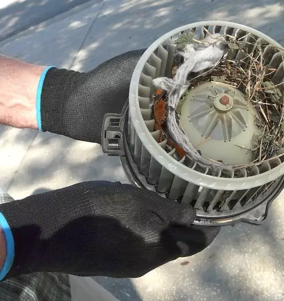 About Air Duct Mice Removal in Maplewood, MN