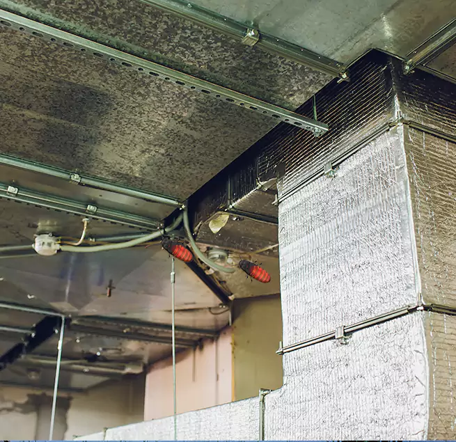 Why Homeowners & Businesses Trust Us in Maplewood, MN?