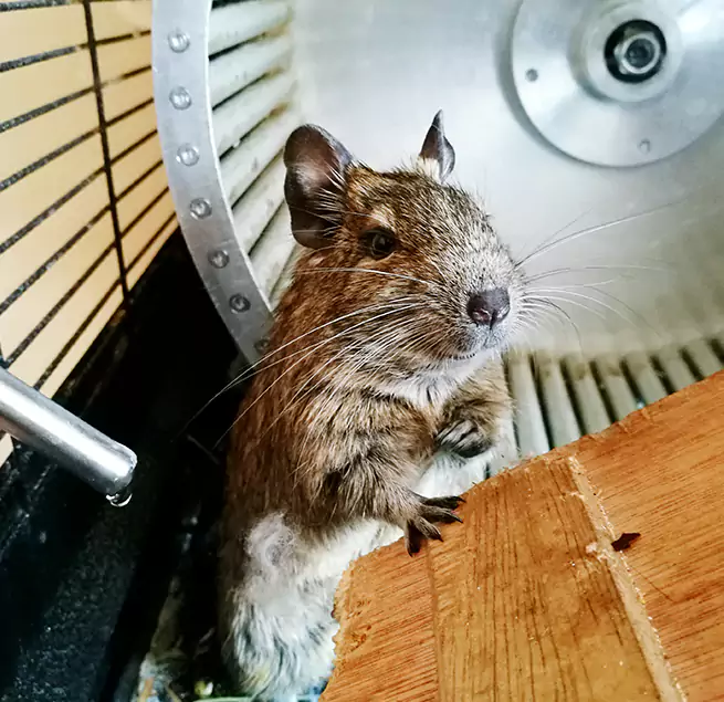 Why Homeowners & Businesses Trust Us Maplewood, MN