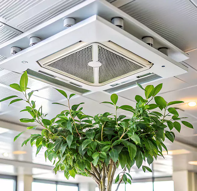 Why Homeowners & Businesses Trust Us in Maplewood, MN?